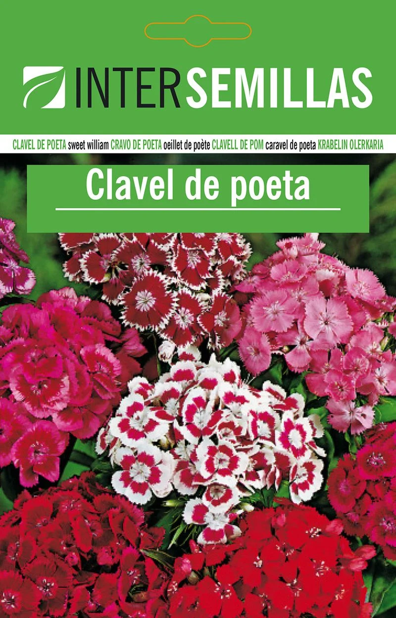 Sobre De Semillas De Clavel De Poeta