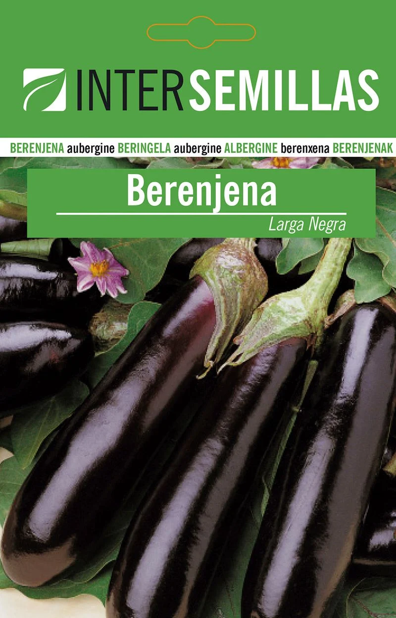 Sobre De Semillas De Berenjena Negra Larga
