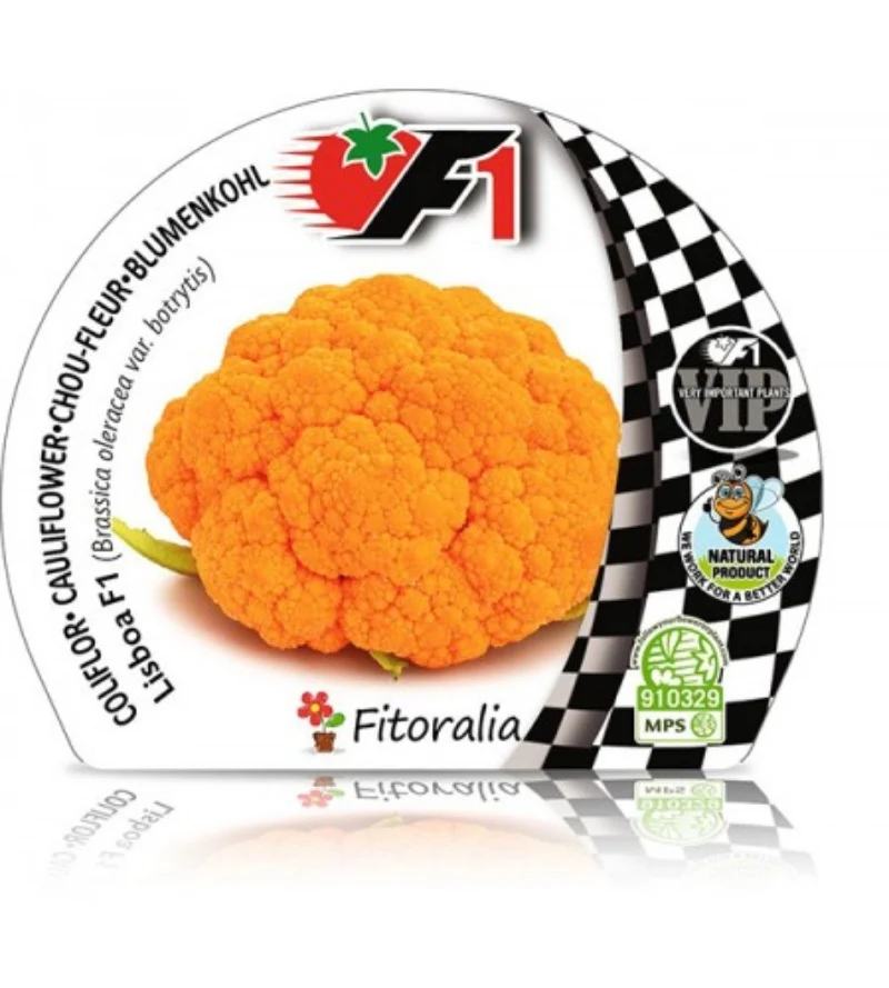Pack Plantones Coliflor Híbrida F1 Naranja Lisboa 6 Ud. Natural - Fitoralia