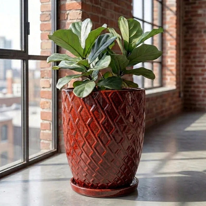 Soucoupe 15cm rouge tropical