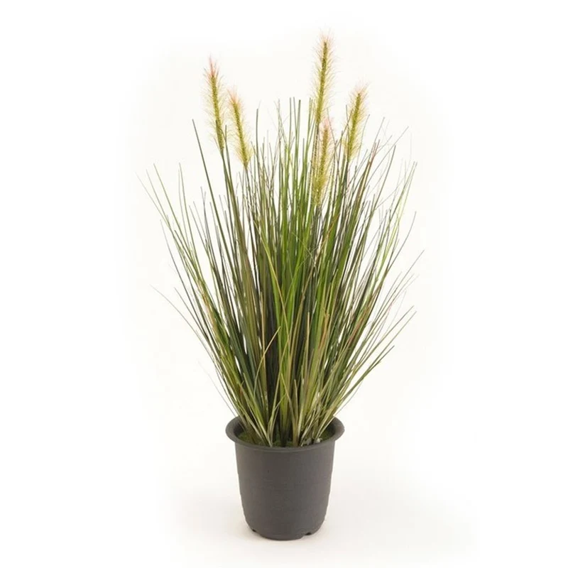 Planta de Hierba Verde de 45 cm de alto