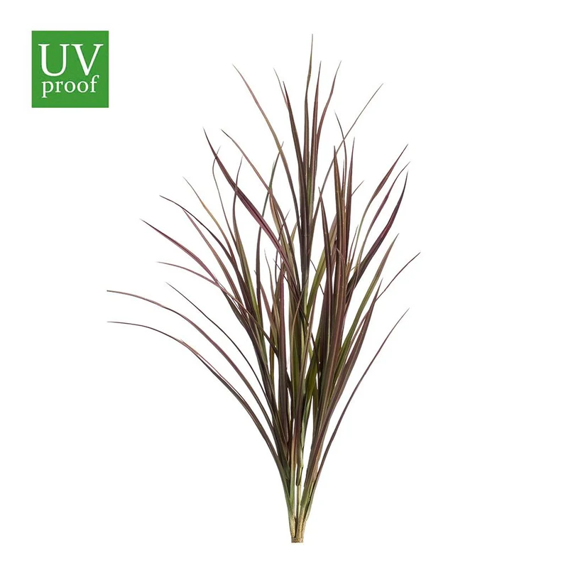 Junco verde intenso, varios tonos de exterior de 90 cm UV Sin macetero (Pincha y Decora). (6 unidades)