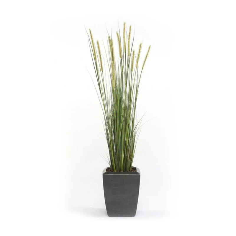Planta junco acabado ESPIGA ESTRECHA. Altura 95 cm
