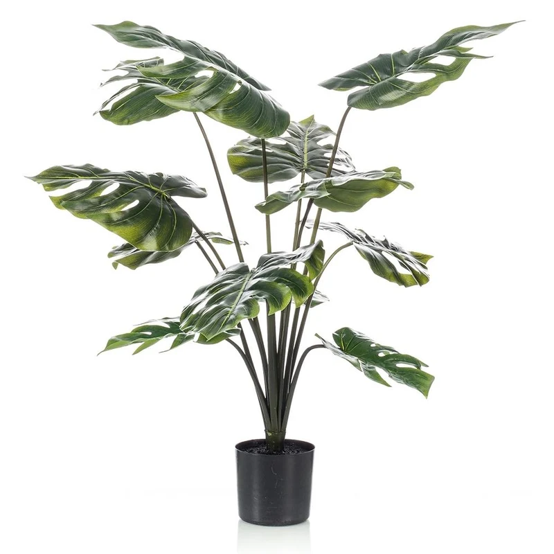 Planta MONSTERA de 95 cm de alto. Incluye macetero básico.