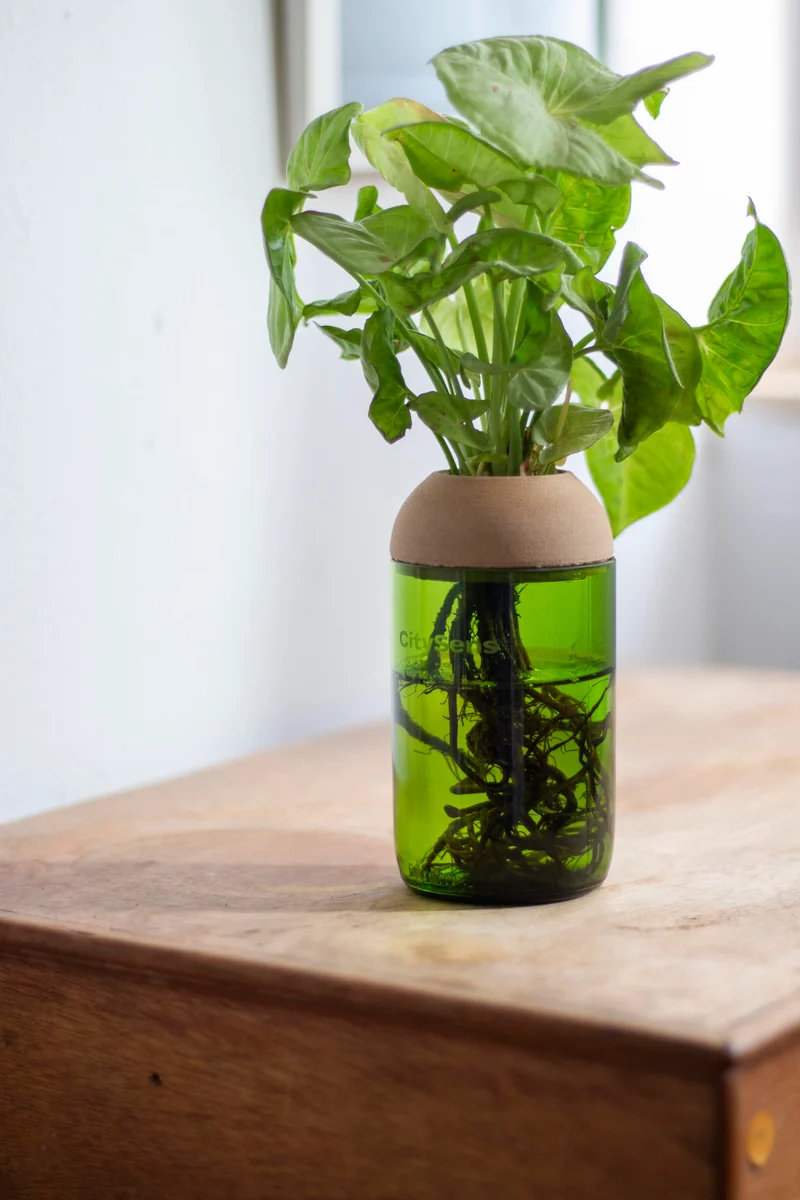 Macetero Transparente Citysens Con Soporte De Pino – Verde, Vidrio Reutilizado Y Biofilamento De Madera 3d