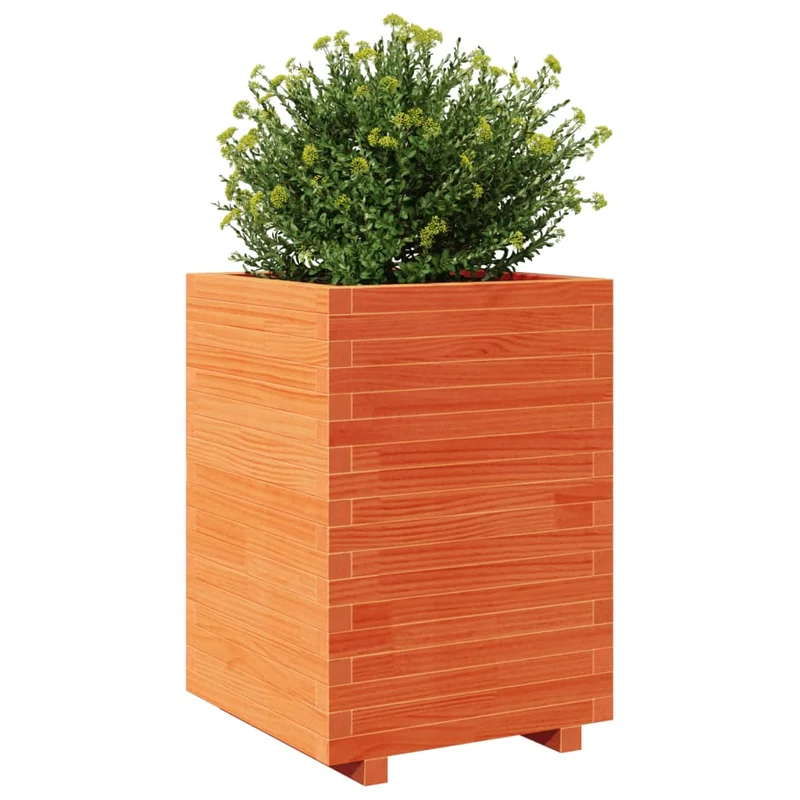 Jardinera Madera Maciza De Pino Marrón Cera 50x50x72,5 Cm