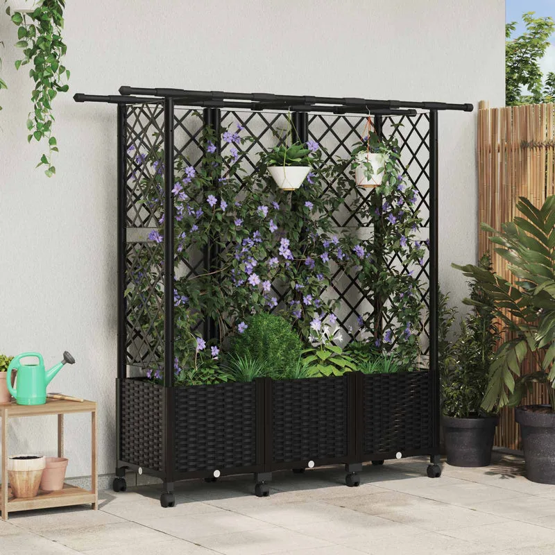 Cama Elevada Con Trellis Y Techo Negro 163,5 X 40 X 142 Cm Pp