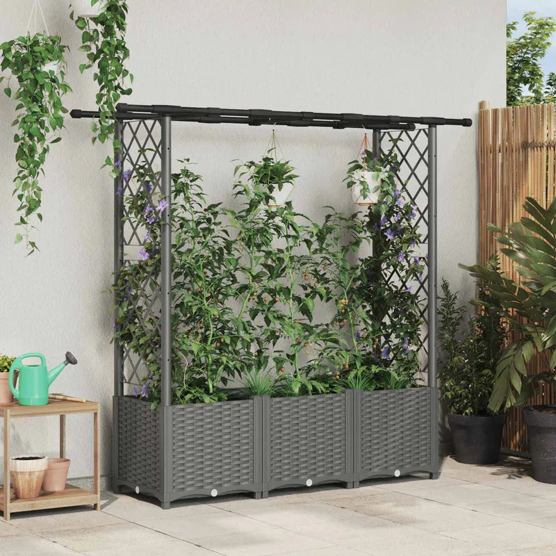 Cama Elevada Con Trellis Y Techo Gris Claro 162,5 X 40 X 136 Cm