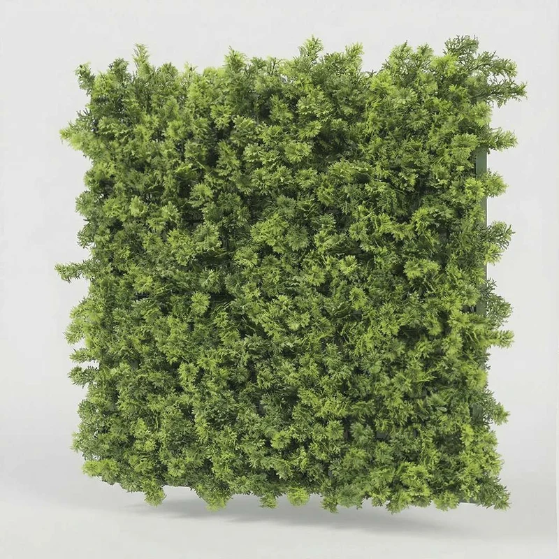 Moss
