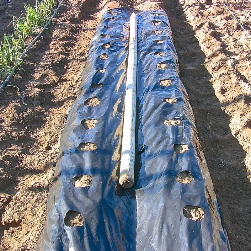 Plástico negro para siembra - 500m²