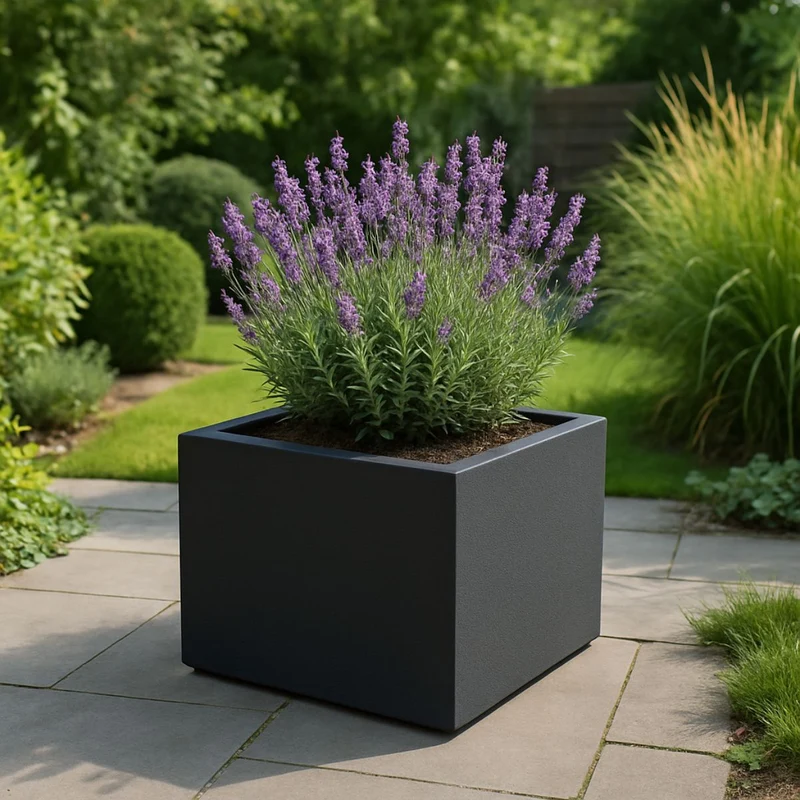 GARDRA Jardinière en polyester grise noire 60x60x40 cm RAL 7021
