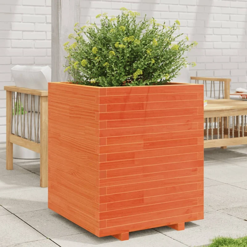 Jardinera Madera Maciza De Pino Marrón Cera 60x60x72,5 Cm