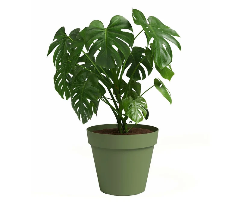 Artevasi Macetero De Plástico Capri Verde 30cm