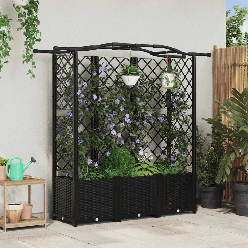 Cama Elevada Con Trellis Y Techo Negro 163 X 40 X 138 Cm Pp