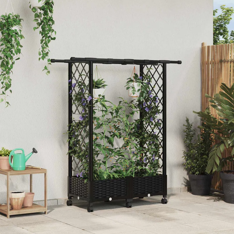 Cama Elevada Con Trellis Y Techo Negro 122,5 X 40 X 127 Cm Pp