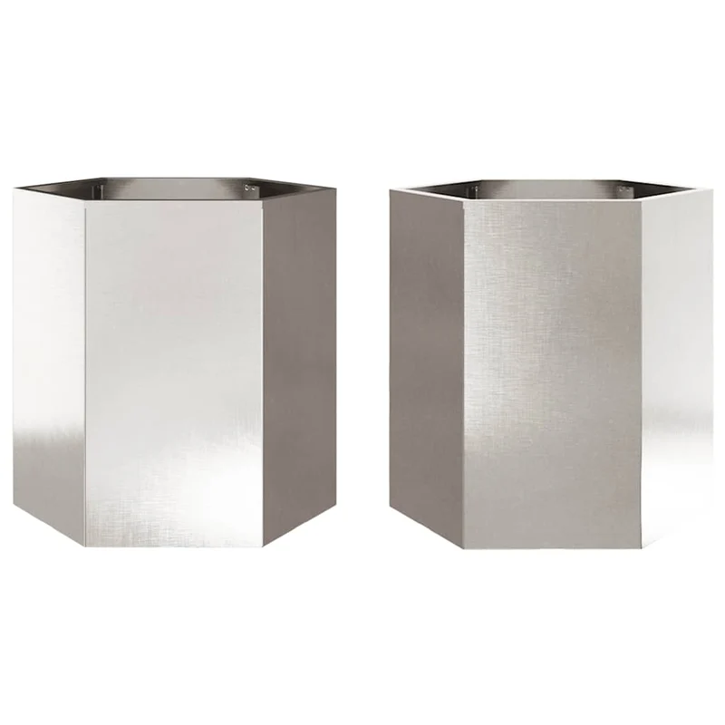 Jardineras Hexagonales 2 Uds Acero Inoxidable 46x40x45 Cm