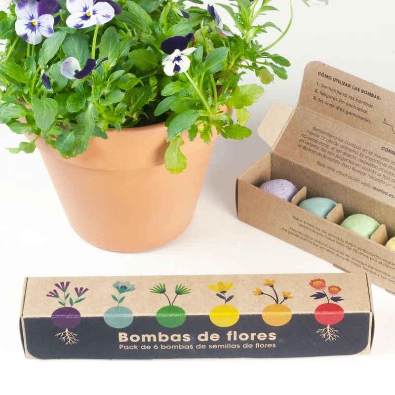 Pack 6 Bombas de Semillas de Flores Silvestres – Kit Jardín Fácil, Regalo Original - Resetea