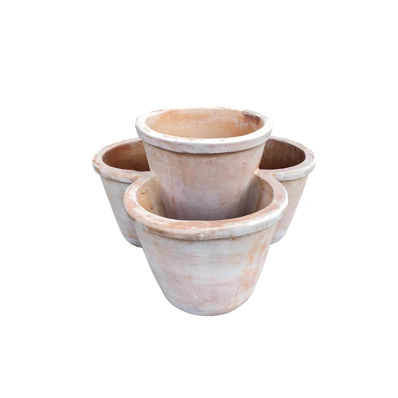 vasos Múltiple - 3