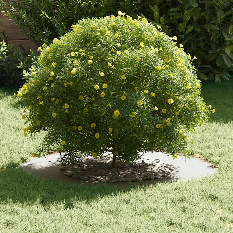 Adecuado Para Anillo De Árbol Plano Ø40/70 Cm Acero