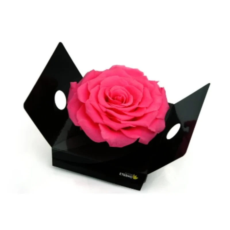 Mundo Eterno Rosmelia Preservada Rosa 12cm