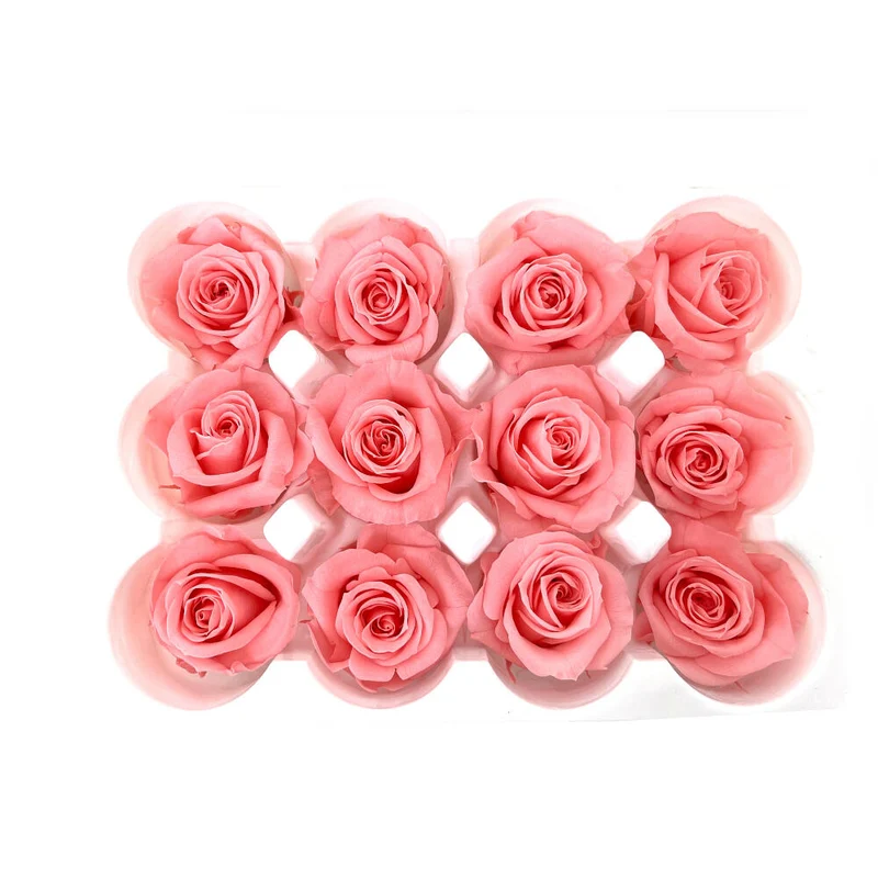 Mundo Eterno Rosas Preservadas Rosas 12 Unidades 4cm