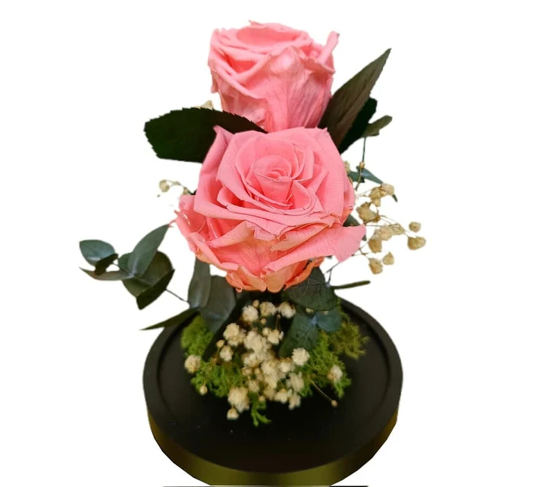 Cúpula 2 Rosas Rosa 12x20cm