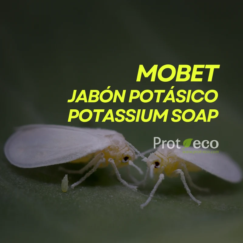 Jabón potásico ecológico para pulgón y cochinilla en plantas Mobet Prot-eco 250 ml + pipeta dosificadora 5 ml gratis