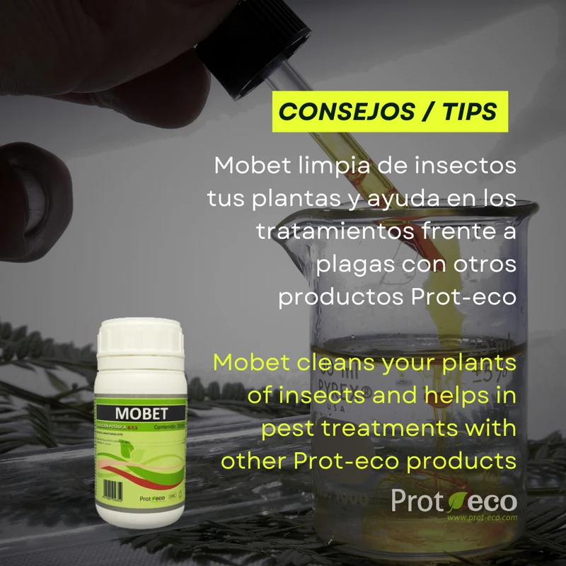 Jabón potásico ecológico para pulgón y cochinilla en plantas Mobet Prot-eco 250 ml + pipeta dosificadora 5 ml gratis