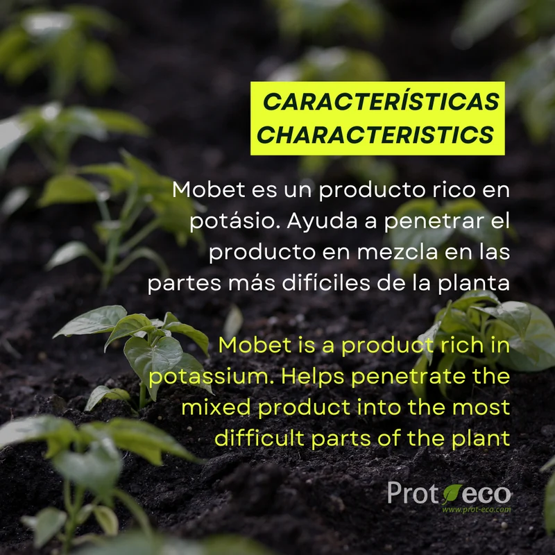 Jabón potásico ecológico para pulgón y cochinilla en plantas Mobet Prot-eco 250 ml + pipeta dosificadora 5 ml gratis