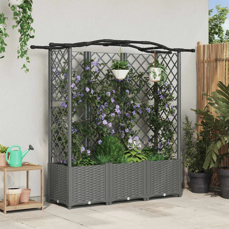Cama Elevada Con Trellis Y Techo Gris Claro 163 X 40 X 138 Cm