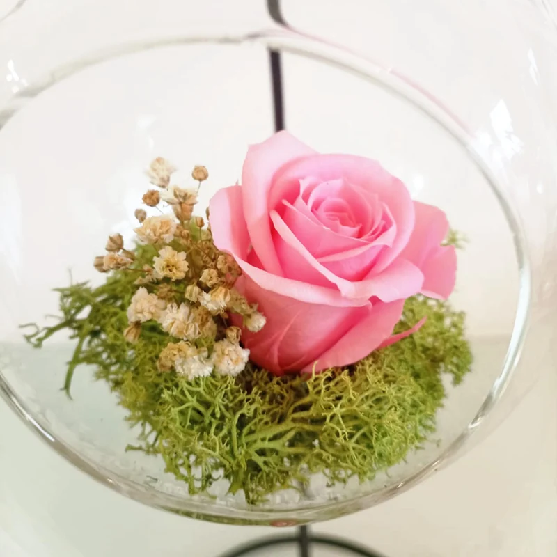 Rosa Eterna - Colgante Rosa