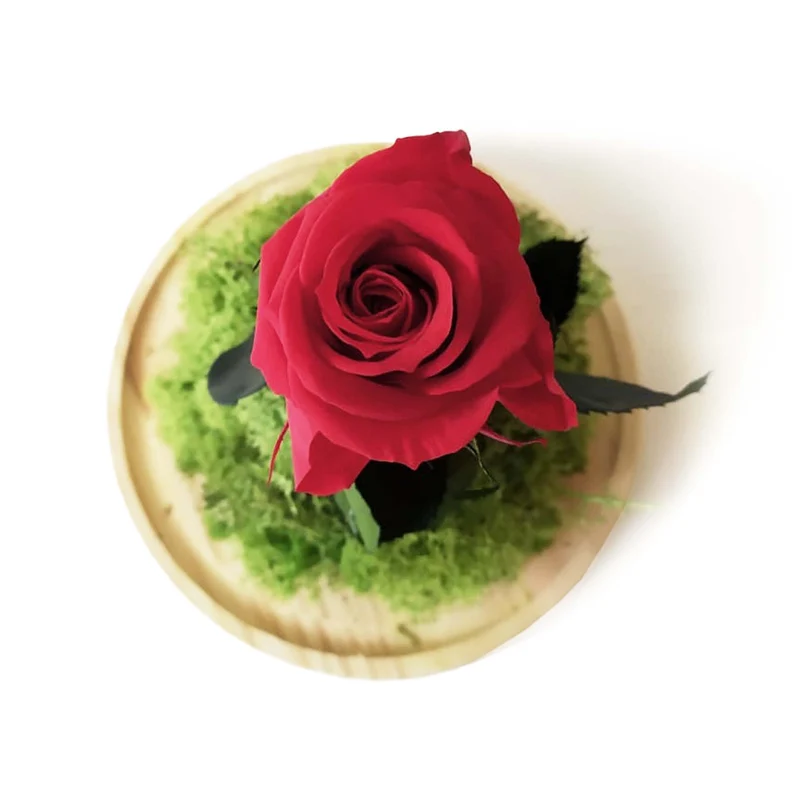 Rosa Eterna – B&b Roja
