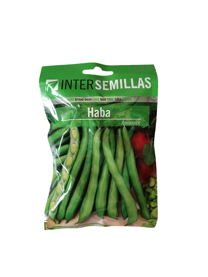 Semillas De Haba Variedad Aguadulce 100 Gr.