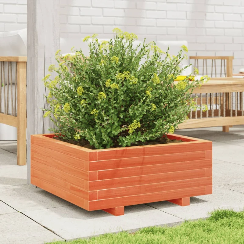 Jardinera De Madera Maciza De Pino Marrón Cera 60x60x26,5 Cm