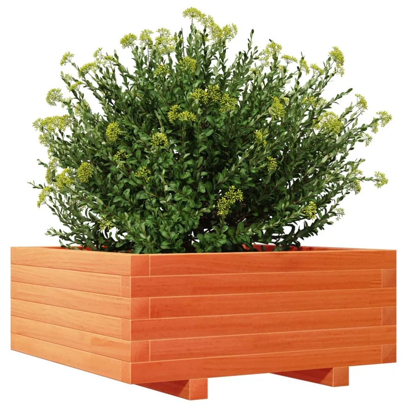 Jardinera De Madera Maciza De Pino Marrón Cera 60x60x26,5 Cm