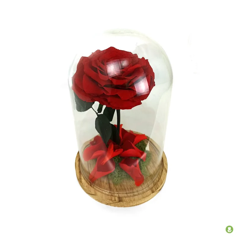 Mundo Eterno Rosa En Cúpula King Rojo 25x17cm