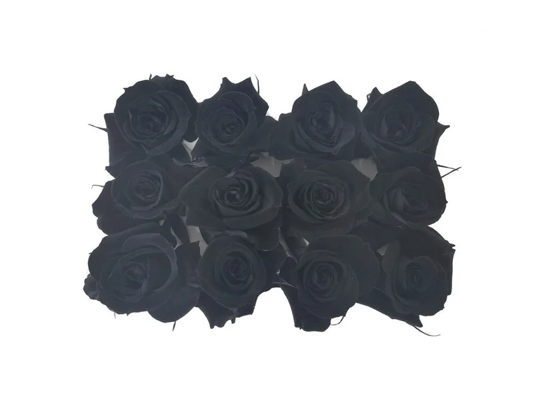 Mundo Eterno Rosas Negras Preservadas 12 Unidades 3-4cm