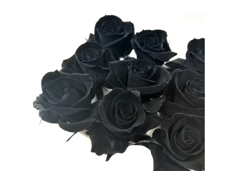 Mundo Eterno Rosas Negras Preservadas 12 Unidades 3-4cm
