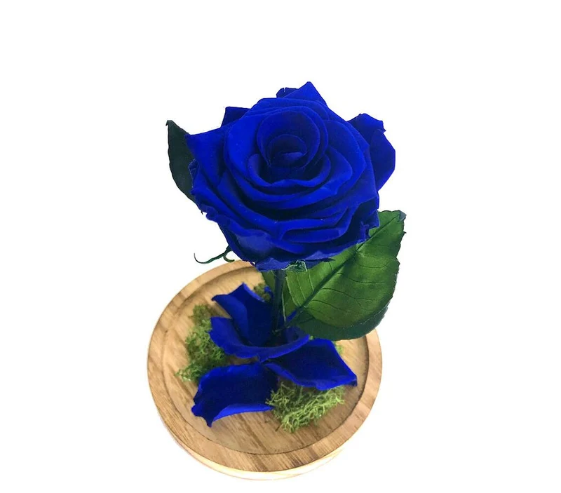 Mundo Eterno Rosa En Cúpula Azul Oscuro 12x20cm