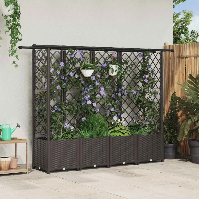Cama Elevada Con Trellis Y Techo Marrón 202 X 40 X 136 Cm Pp