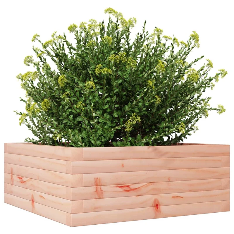 Jardinera De Madera Maciza De Abeto Douglas 60x60x23 Cm