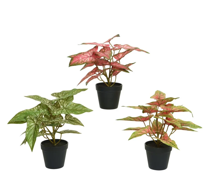 Planta Variada Artificial 37 Cm