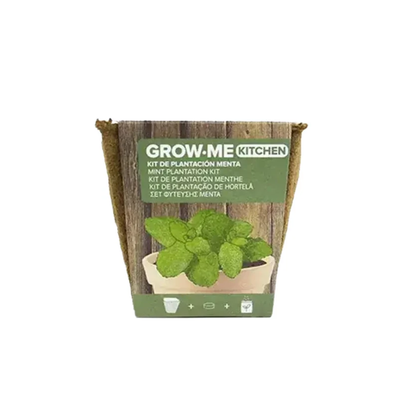 Kit De Cultivo De Menta Piperita Grow Me – Huerto Urbano Ecológico