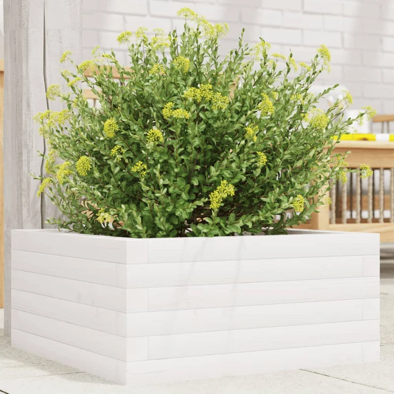 Jardinera De Madera Maciza De Pino Blanco 50x50x23 Cm