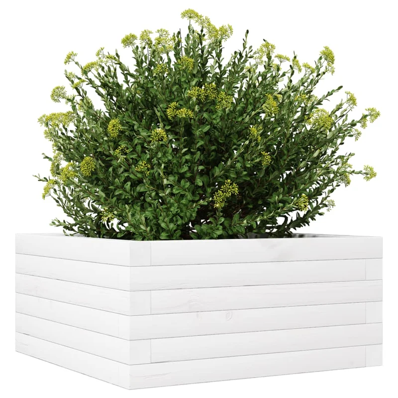Jardinera De Madera Maciza De Pino Blanco 50x50x23 Cm