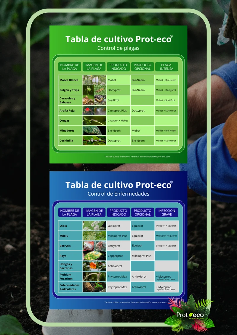 Fortificante ecológico de cola de caballo para plantas Equiprot Prot-eco 250 ml + pipeta dosificadora 5 ml gratis