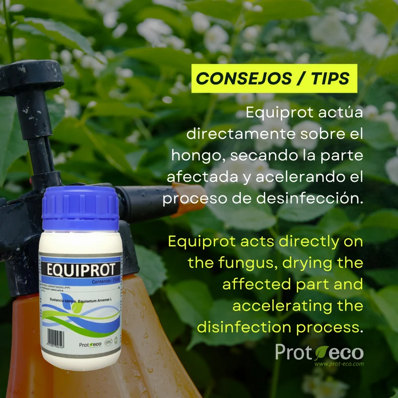 Fortificante ecológico de cola de caballo para plantas Equiprot Prot-eco 250 ml + pipeta dosificadora 5 ml gratis