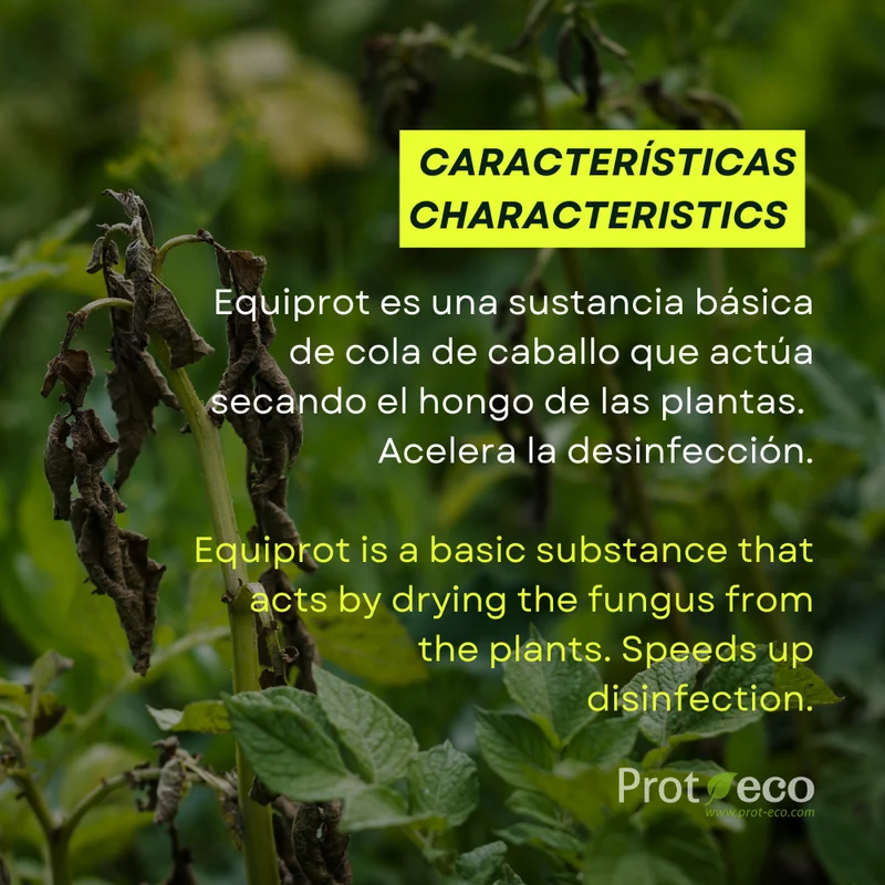 Fortificante ecológico de cola de caballo para plantas Equiprot Prot-eco 100 ml + pipeta dosificadora 5 ml gratis
