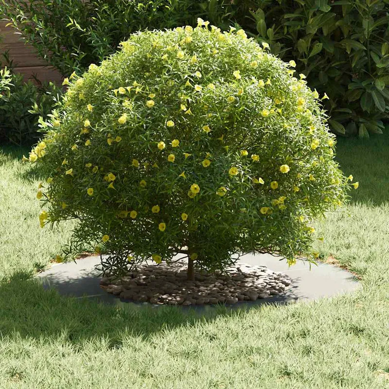 Adecuado Para Anillo De Árbol Plano Plateado Ø40/70 Cm