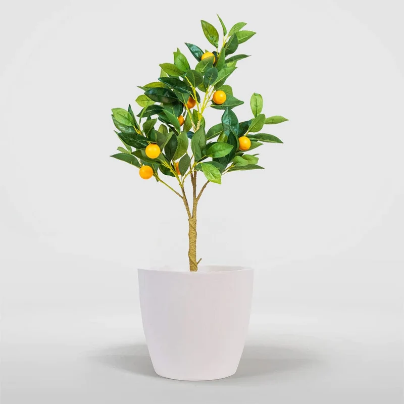 Orange Tree